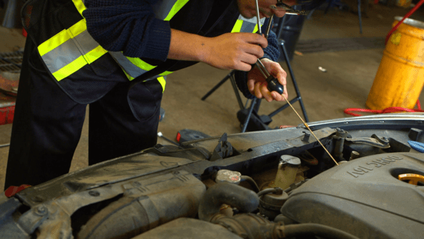 car-inspection-5.png
